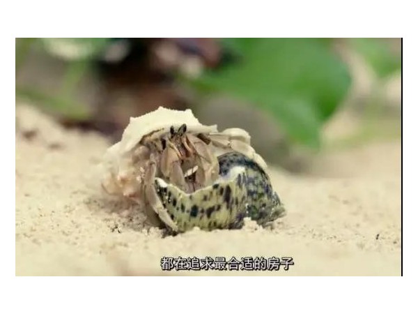 會移動的戶外廣告來了，根本不夠看！